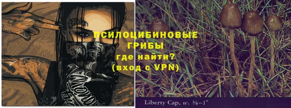 2c-b Аркадак
